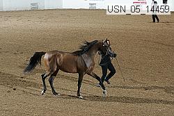 usn_05_14459 proof