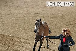 usn_05_14460 proof
