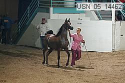 usn_05_14462 proof
