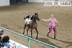 usn_05_14464 proof