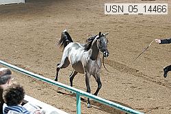 usn_05_14466 proof