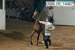 usn_05_14467 proof
