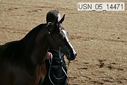 usn_05_14471 proof