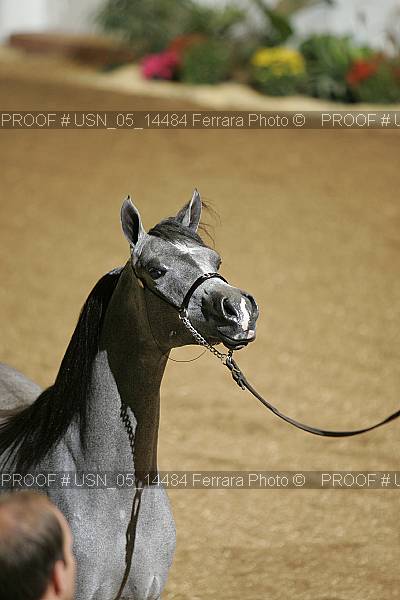 Proof usn_05_14484