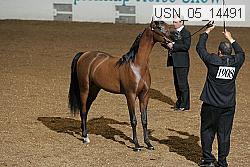 usn_05_14491 proof