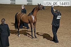 usn_05_14493 proof