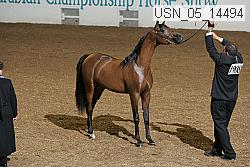 usn_05_14494 proof
