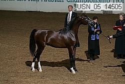 usn_05_14505 proof