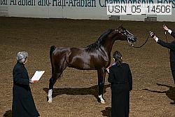 usn_05_14506 proof