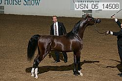 usn_05_14508 proof