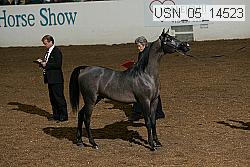 usn_05_14523 proof