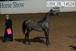 usn_05_14524 proof