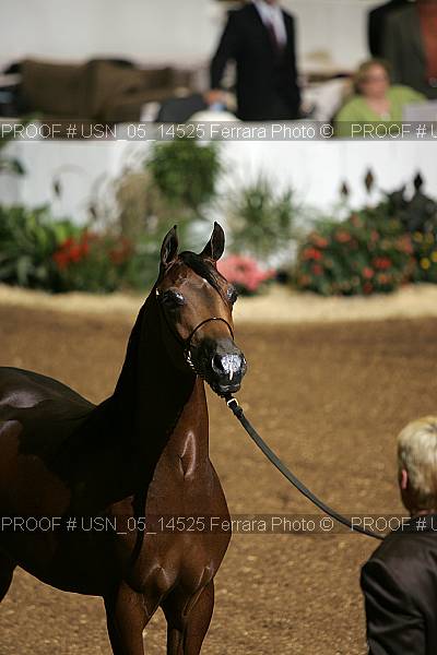 Proof usn_05_14525