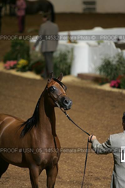 Proof usn_05_14532