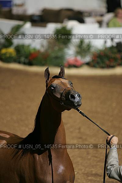 Proof usn_05_14535