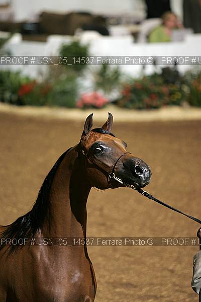 Proof usn_05_14537