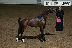 usn_05_14550 proof