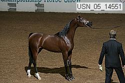 usn_05_14551 proof