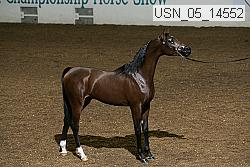 usn_05_14552 proof