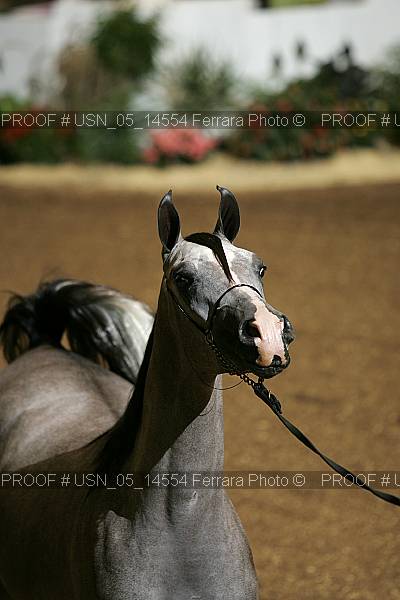 Proof usn_05_14554