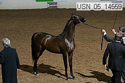 usn_05_14559 proof