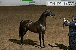usn_05_14560 proof
