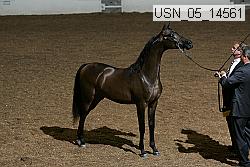usn_05_14561 proof
