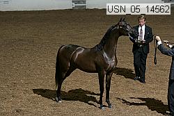 usn_05_14562 proof