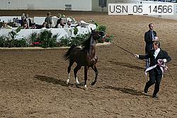 usn_05_14566 proof