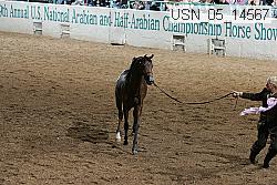 usn_05_14567 proof