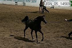 usn_05_14569 proof