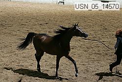 usn_05_14570 proof