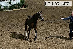 usn_05_14571 proof