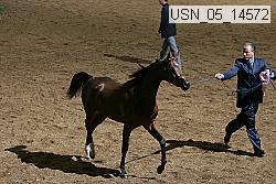 usn_05_14572 proof
