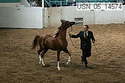usn_05_14574 proof