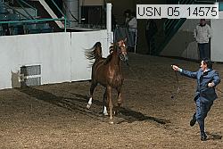 usn_05_14575 proof