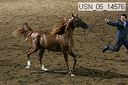 usn_05_14576 proof
