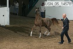 usn_05_14578 proof