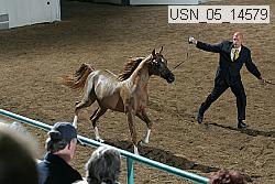 usn_05_14579 proof