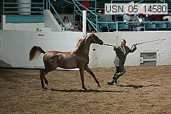 usn_05_14580 proof