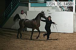 usn_05_14581 proof