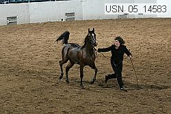 usn_05_14583 proof