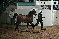 usn_05_14585 proof
