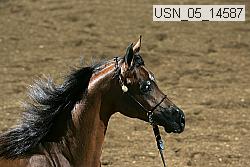 usn_05_14587 proof