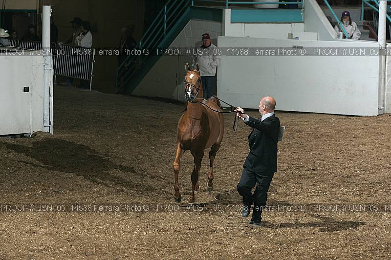 Proof usn_05_14588