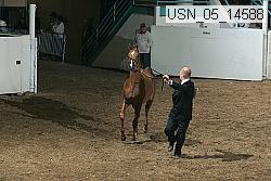 usn_05_14588 proof