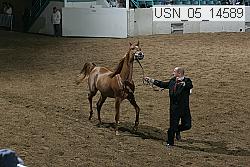 usn_05_14589 proof
