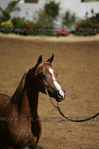 Proof usn_05_14592