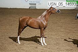 usn_05_14593 proof