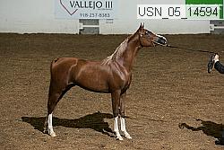 Proof usn_05_14594